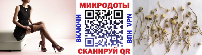 магазин продажи наркотиков  Абдулино  Галлюциногенные грибы MAGIC MUSHROOMS 